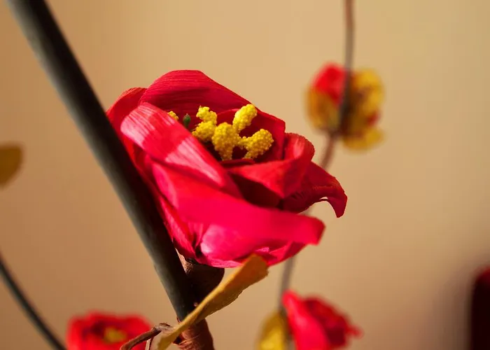 Apartment Terra Mamaia